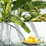 Mytheo 4* Mykonos Town